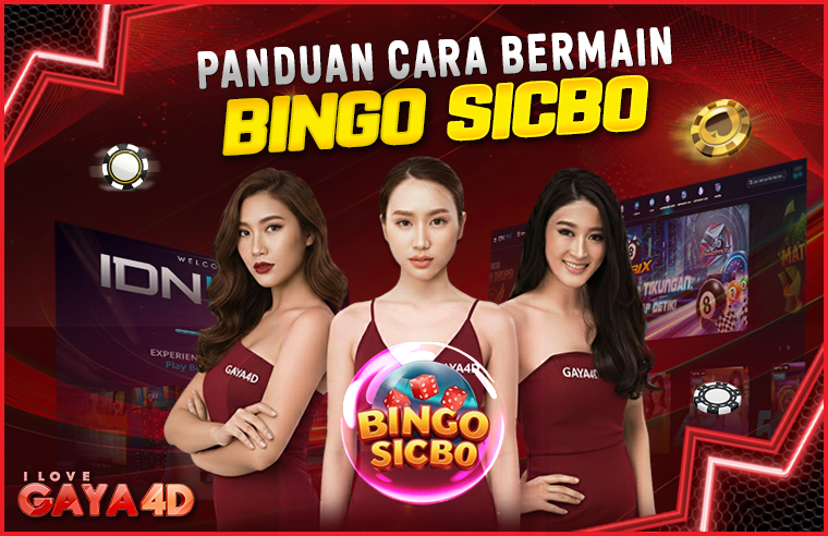bingosicbo